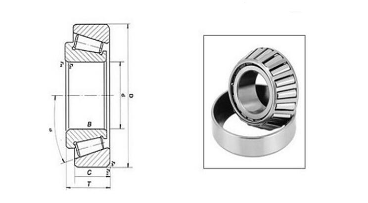 Single Row Inch Size Tapered Roller Bearings